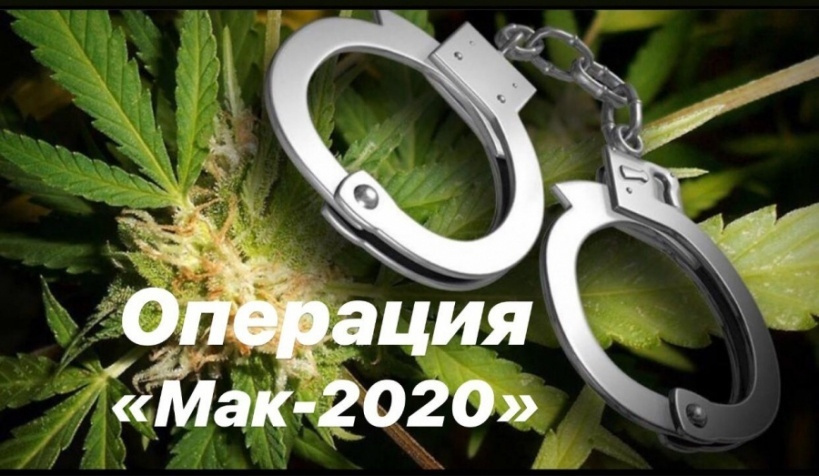 Оперативно-профилактическая операция «Мак-2020»  пройдет в Большом Подольске