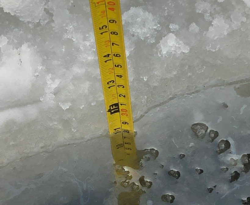 Толщина льда на реке Пахре на 25 января