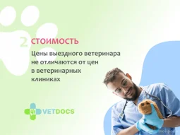Ветеринарная клиника Vetdocs на Большой Серпуховской улице фотография 2