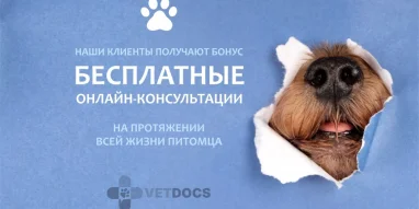 Ветеринарная клиника Vetdocs на Большой Серпуховской улице фотография 3