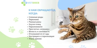 Ветеринарная клиника Vetdocs на Большой Серпуховской улице фотография 7