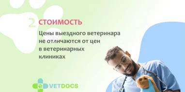 Ветеринарная клиника Vetdocs на Большой Серпуховской улице фотография 2