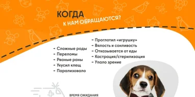 Ветеринарная служба ВетСкорая24 на улице Кирова фотография 5