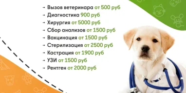 Ветеринарная служба ВетСкорая24 на улице Кирова фотография 6